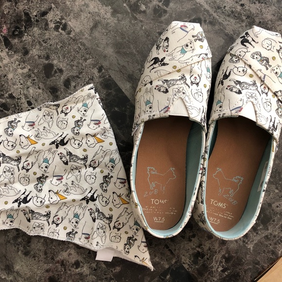 toms dog shoes